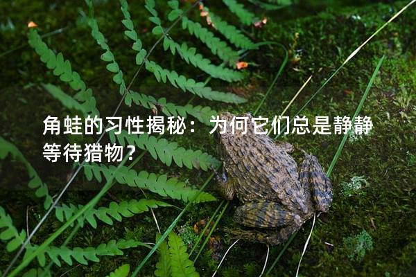 角蛙的習性揭秘：為何它們總是靜靜等待獵物？